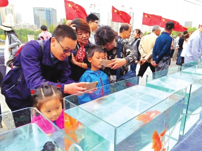 長假期間，有趣的活動吸引了市民圍觀